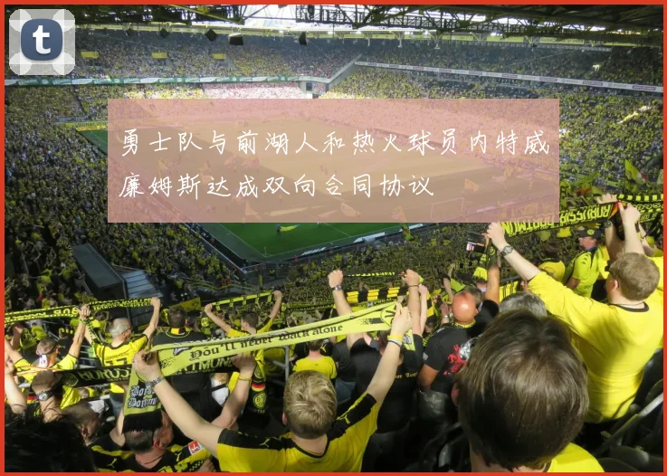 勇士队与前湖人和热火球员内特威廉姆斯达成双向合同协议