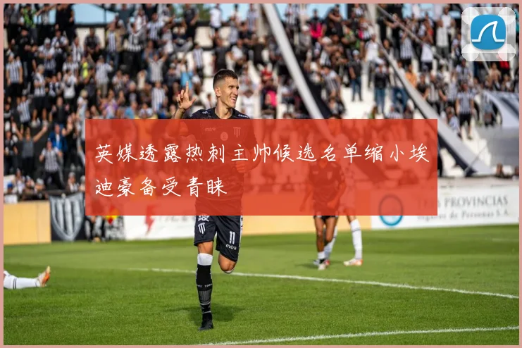 英媒透露热刺主帅候选名单缩小埃迪豪备受青睐