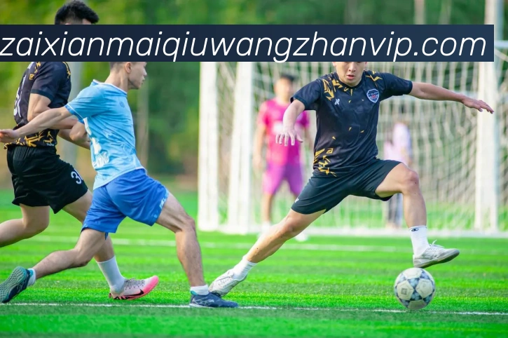 多媒体互动体验