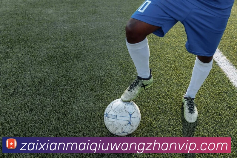 体育数据展示